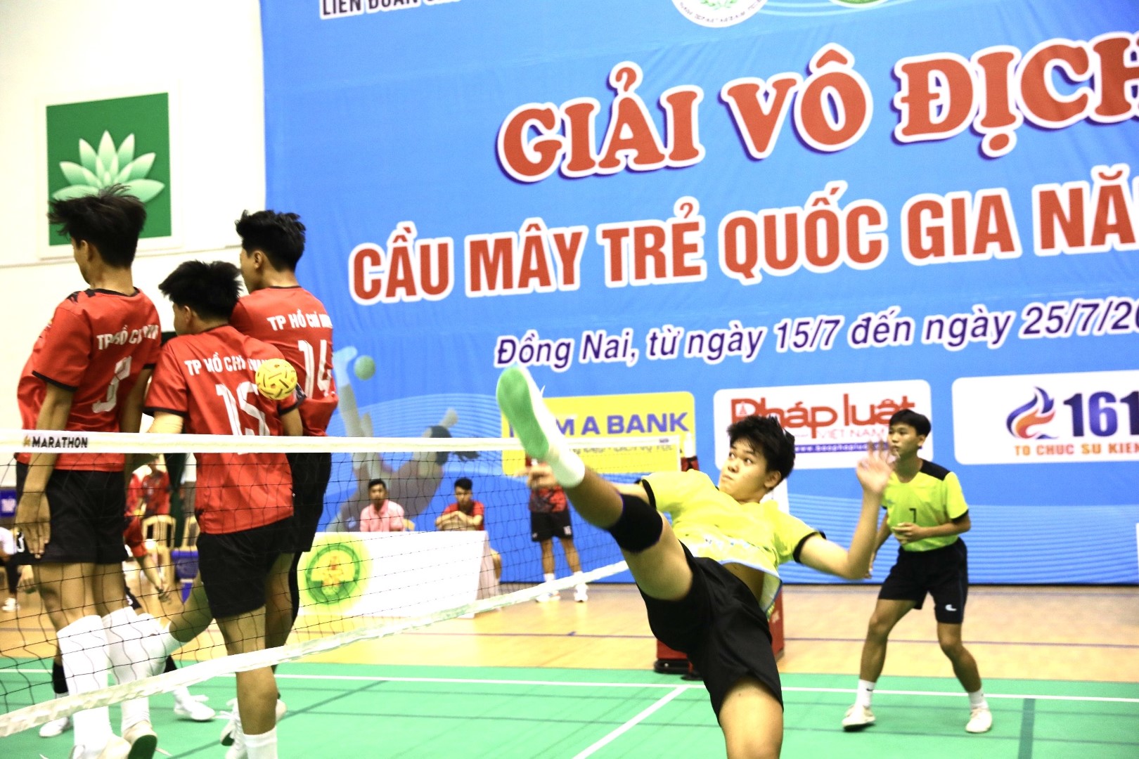 3617471a839a8d3a843827522919ba35